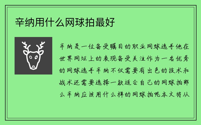 辛纳用什么网球拍最好